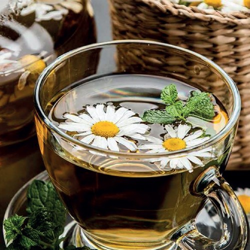 PAPATYA ÇAYI