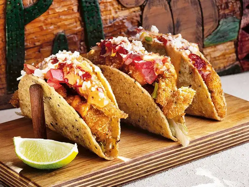 TACOO TAVUK